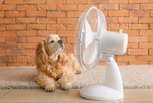 Ways to Save on Your Energy Bill